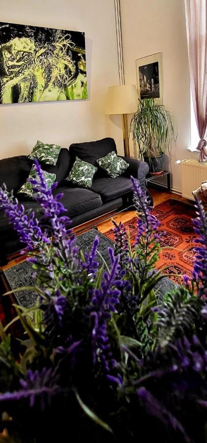 Bright Studio Close To Zaventem Airport - Brussels — Photos 1
